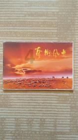 小宝贝仪仗队